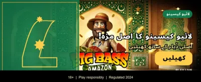 آج ہی z777 گیم ڈاؤن لوڈ کریں banner image